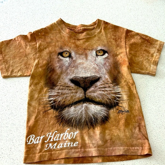 The Mountain kids Tshirt size small. - Picture 1 of 6